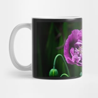 Pretty Purple Poppy Flower Mug